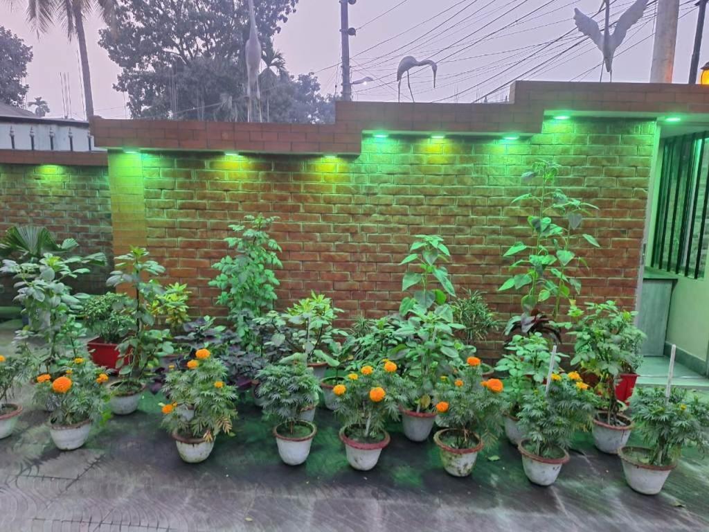 Little Rangpur Inn Exterior foto