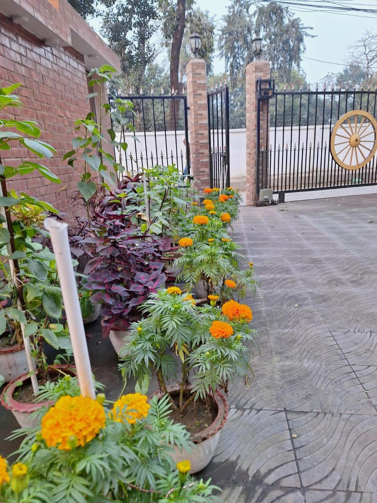 Little Rangpur Inn Exterior foto